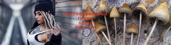винт Алзамай