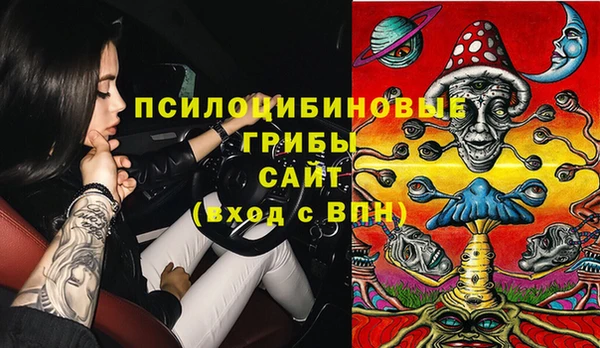 винт Алзамай
