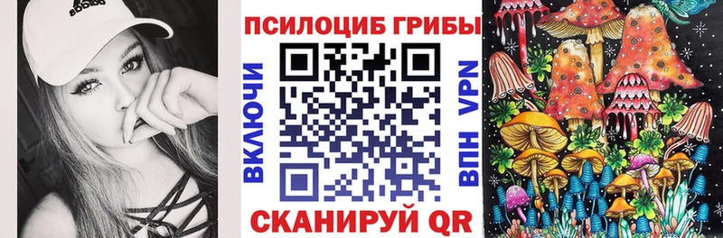 Псилоцибиновые грибы Psilocybe Комсомольск